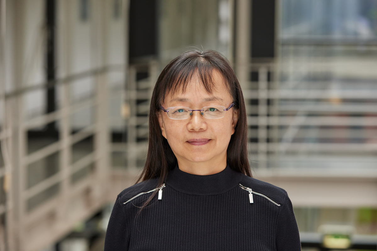 Professor Image